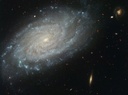 Spiral Galaxy NGC 3370, Home to Supernova Seen in 1994