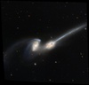 The Mice (NGC 4676) Colliding Galaxies Stream Stars and Gas