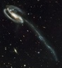 The Tadpole Galaxy Distorted Victim of Cosmic Collision